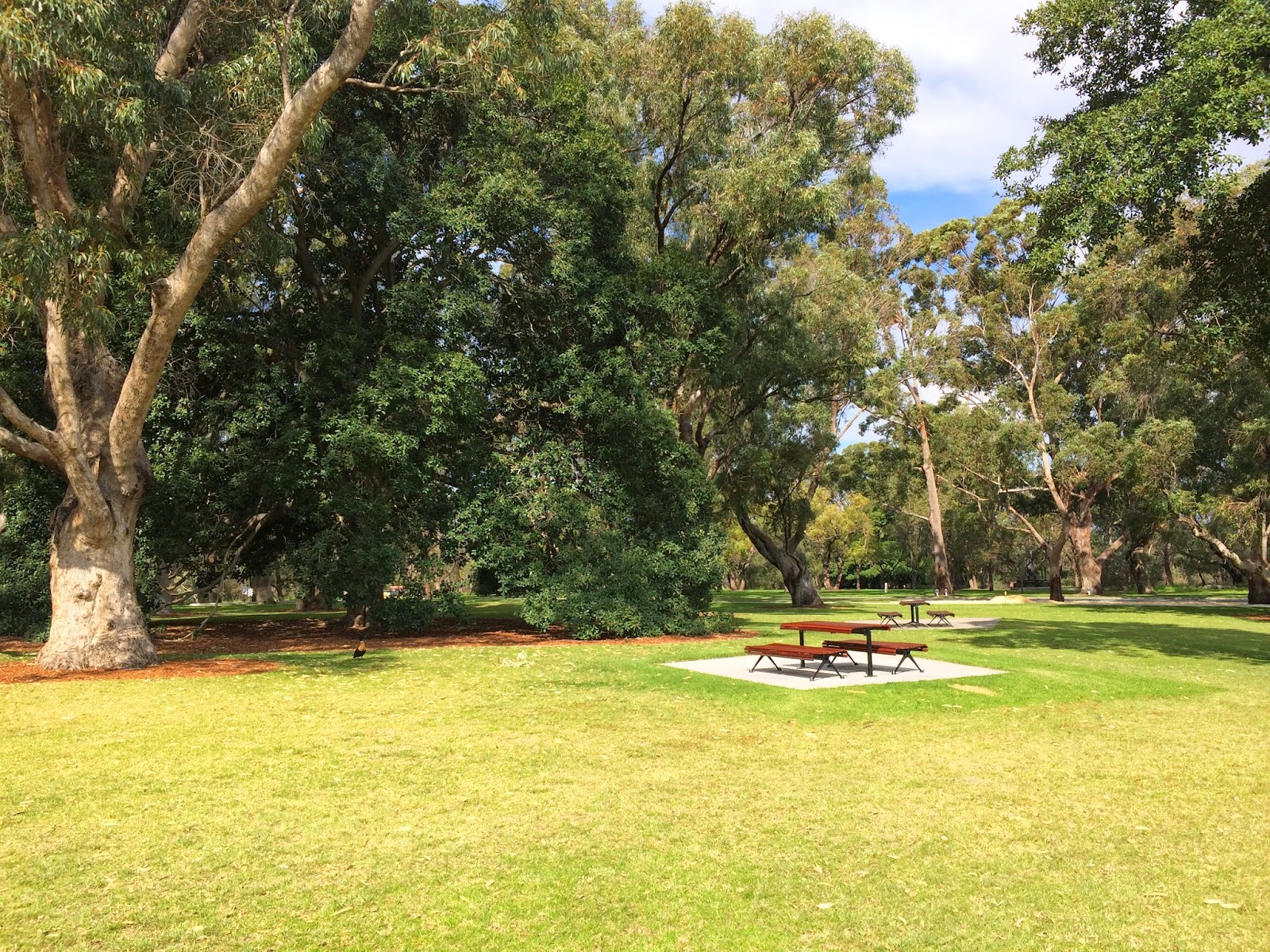 Variety Place Playground, Saw Avenue, Kings Park Blog Reviews